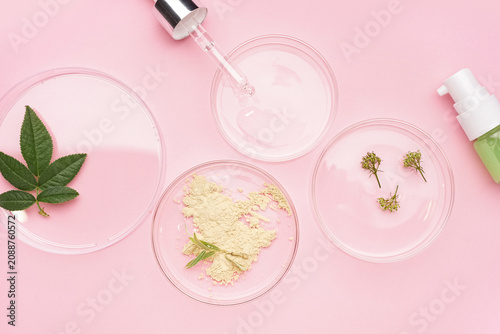 Petri dishes with herbs, sample and bottle of cosmetic product on pink backgr...