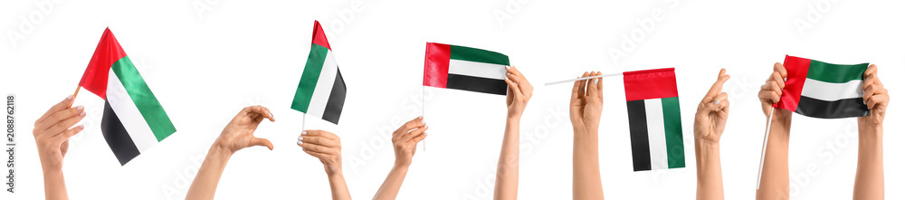Fototapeta premium Hands holding United Arab Emirates flags on white background