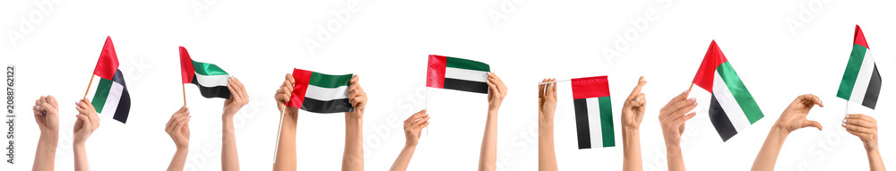 Fototapeta premium Hands holding and waving United Arab Emirates flags