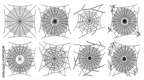 Collection of detailed spider webs with intricate patterns and fine silk threads