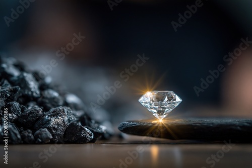 Sparkling Diamond Amidst Coal