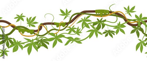 Tropical vine border. Horizontal leafy branch with climbing vines flat vector illustration. Botanical decorative border