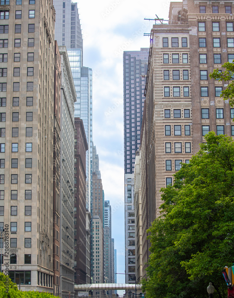 Fototapeta premium Downtown Chicago buildings and blue sky