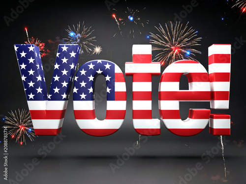 democracy in action: vote!