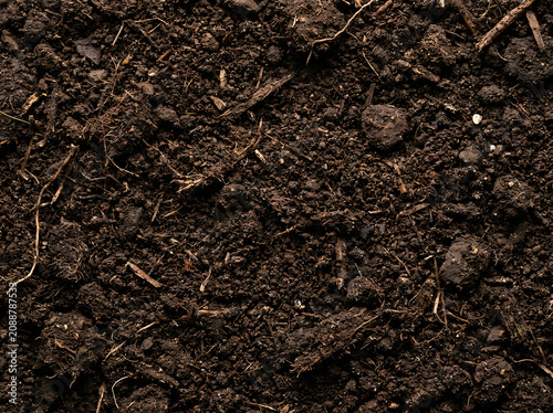 raw umber earth texture background, natural flat surface, deep cool brown tone, classic earthy feel, high resolution macro detail, commercial stock photo