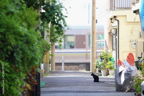 Obraz na płótnie 下町の路地裏に佇む黒猫と背景を通り過ぎる電車の日常風景