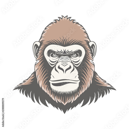 Detailed Vector Illustration of a Fierce Gorilla Head Featuring Intricate Fur Texture and Intense Expression for Graphic Design Projects