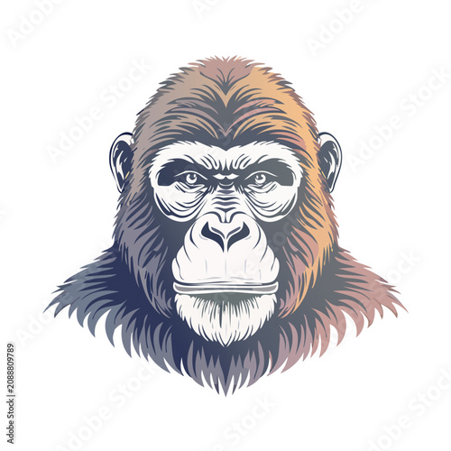 Artistic gorilla head illustration featuring detailed line work and a subtle color gradient isolated on white background