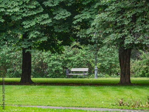 Peaceful white park bench framed by large leafy green trees in a sunny public garden