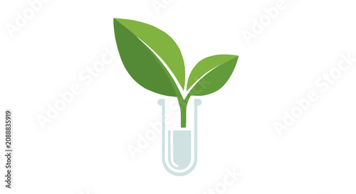 Green plant sprout growing inside a glass test tube filled with liquid. Concept of biotechnology research, eco friendly scientific experiment, laboratory agriculture, and bioengineering development.