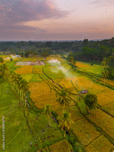 Beautiful panoramic aerial view of terraced rice fields at sunrise in Indonesia, surrounded by lush tropical greenery and palm trees