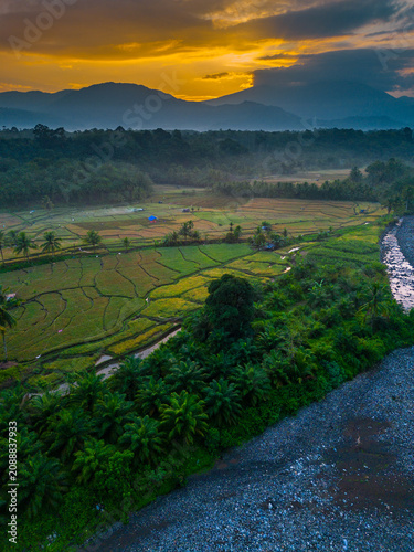 Beautiful panoramic aerial view of terraced rice fields at sunrise in Indonesia, surrounded by lush tropical greenery and palm trees