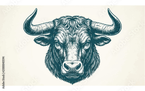 Quadro su tela Close up of bull head.