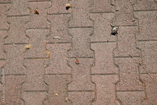 Fotografie A brick textured walkway with a repeating pattern and leaves strewn about