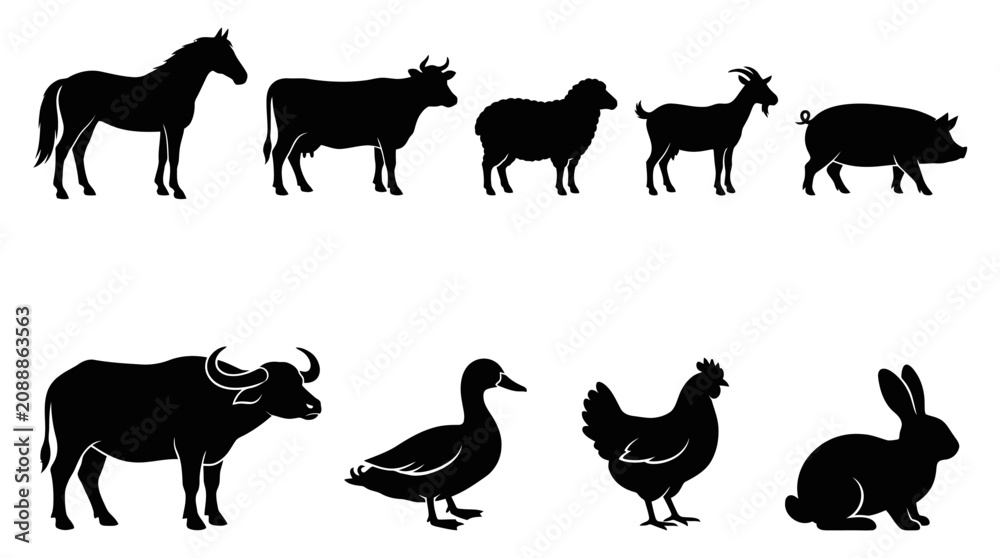 Fototapeta premium Black silhouettes of farm animals standing.