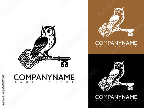 A logo design featuring an owl sitting on a key with company name text