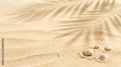 Summer Beach Sand Background with Tropical Shadows and Copy Space