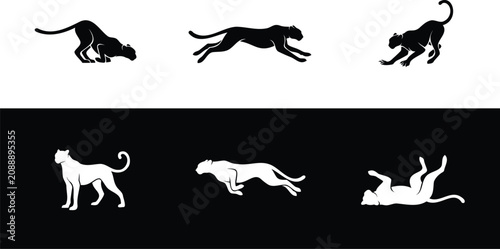 Canvas Print Multiple silhouettes of wild panthers in various action poses depicted in high c