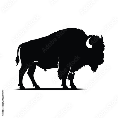 Fotografie Bison silhouette icon side view standing isolated on white background for creative designs