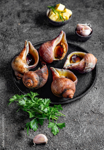 Raw giant Chilean sea snails (escargot) in their natural spiral shells arranged on a black plate