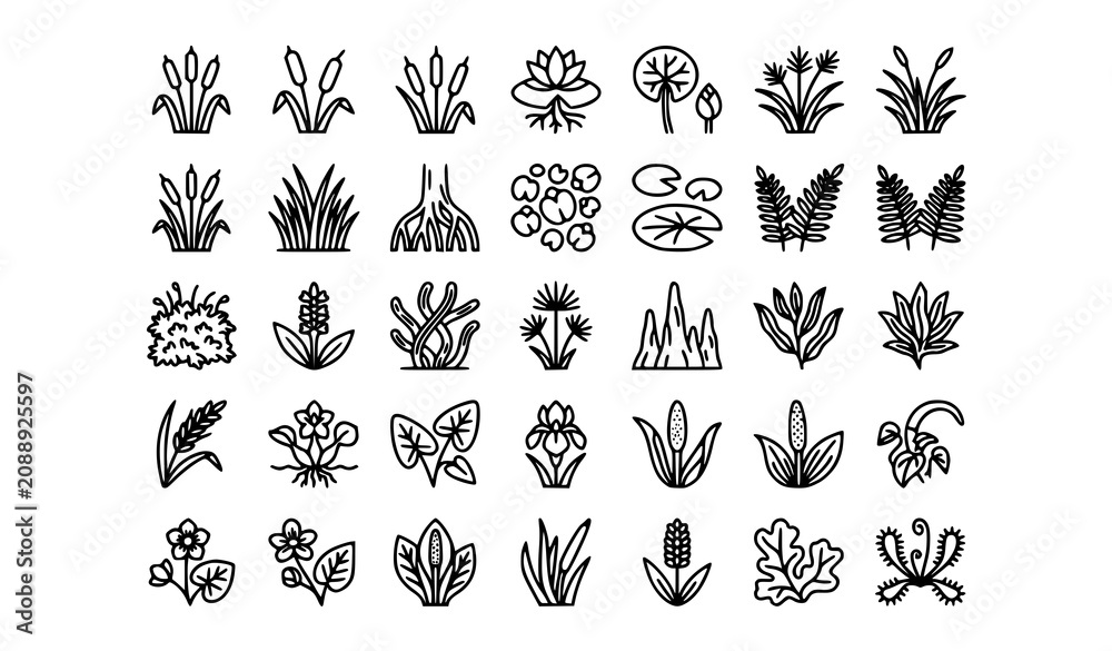 Fototapeta premium Black and white swamp plant outline icon set with cattail, lotus, water lily, fern, reed, and aquatic wetland vegetation symbols