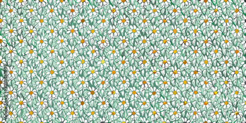 Obraz na plátně Daisy floral ornament with green and white coloration seamless pattern