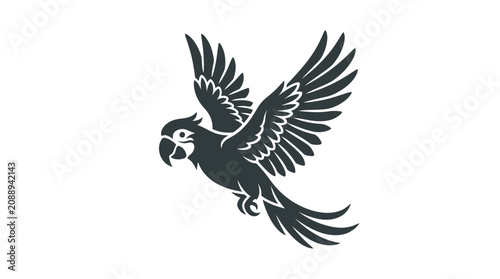 Black and white parrot in flight.
