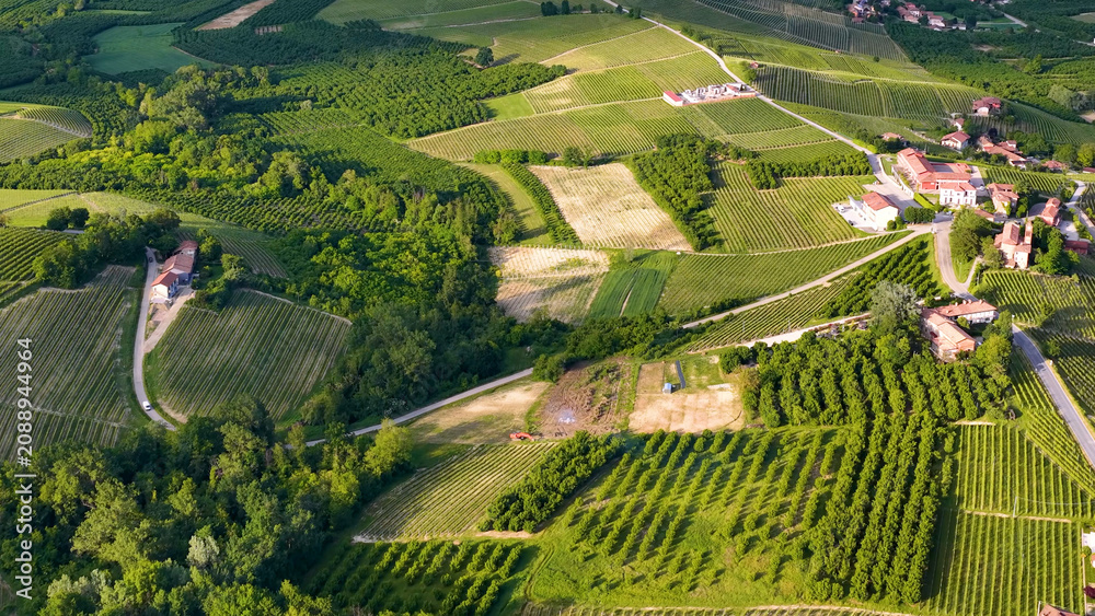 Obraz premium Aerial View of Lush Green Vineyards and Farmhouses in Piedmont Italy