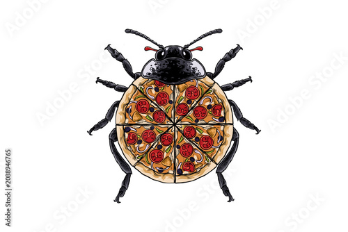 Hand drawn ladybug pizza illustration