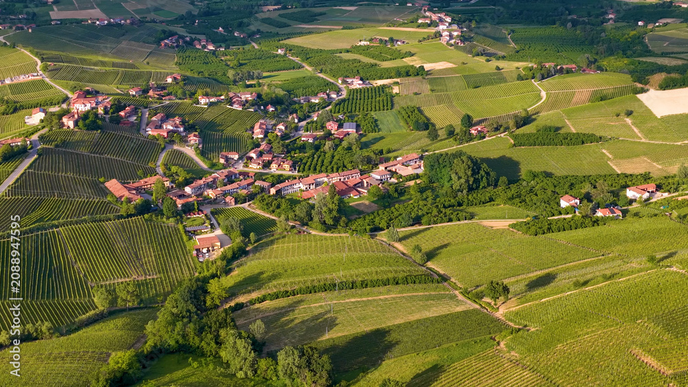 Obraz premium Aerial View of Rolling Green Vineyards and Rural Village in Piedmont Italy