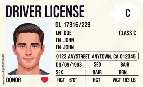 Illustrated driver license template with male portrait and detailed ID information symbolizing identity and documentation concept vector design