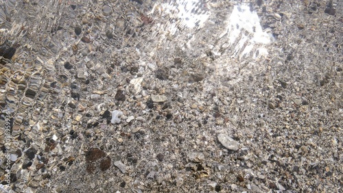 Clear Shallow Sea Water Texture with Sunlight Ripples, Crystal Ocean Surface Background, Natural Wave Pattern