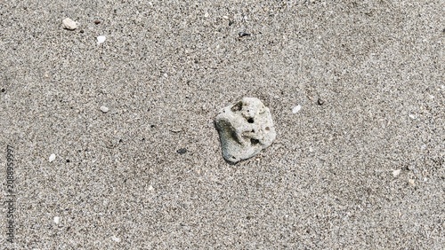 Wet Sand with Pebbles Background with Coastal Nature Close Up