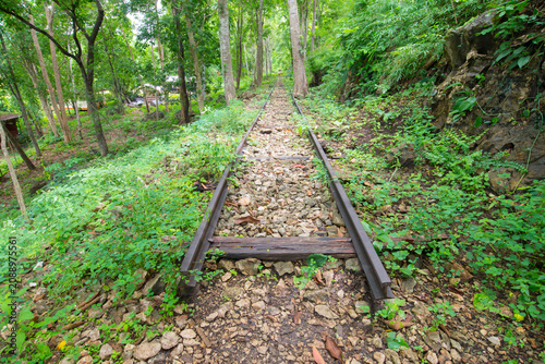 Railway in the forest at Nakhon Ratchasima, Thailand