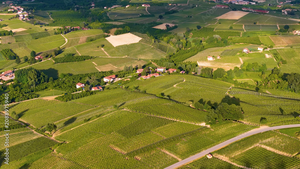 Obraz premium Aerial View of Rolling Green Vineyards and Rural Village in Piedmont Italy