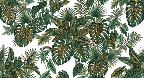 Tropical Palm Tree Leaves and Branches Closeup Isolated Nature Background with Green Evergreen Foliage, Botanical Plant Detail and Seasonal Holiday Decoration Concept