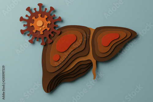 Paper cut liver organ with virus particle floating above, showing layered dark brown and amber surface with red inflamed patches, depicting hepatitis infection concept