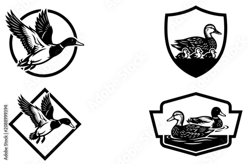 Vintage wild duck hunting badge emblem and logo design set in black and white drawing vector isolated illustration.