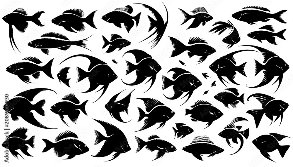 Fototapeta premium Fish silhouettes create a decorative collection of various aquatic species arranged across a white background.