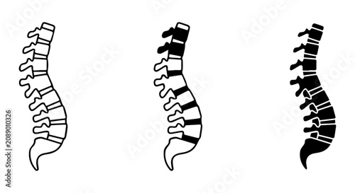 Spine Anatomy Vector Icons, Vertebrae Medical Illustrations, Human Skeleton Health Graphics