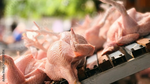 Bild auf Leinwand Fresh raw whole chickens on a processing line