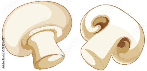 Vector Illustration of Fresh White Button Mushrooms on White Background
