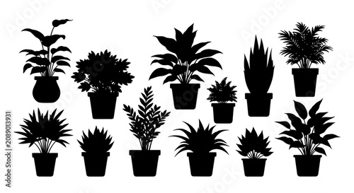 Bild auf Leinwand Clean Flat Vector Silhouette on Solid White Background, Minimalist Graphic Design Element for Creative Projects and Web Backgrounds, High-Key Blank Canvas Layout with Ample Copy Space