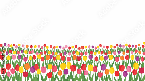 Tulip Field Panorama: A vibrant panorama showcases a sprawling field filled with a multitude of colorful tulips in full bloom, creating a picturesque scene of springtime beauty.