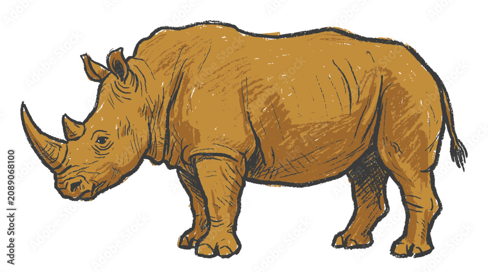 Fototapeta premium Hand-drawn illustration of a rhinoceros on a white background