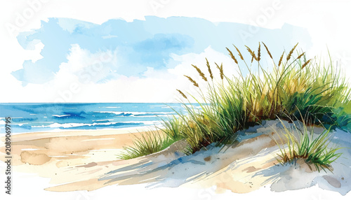 Coastal dune, sea grass, beach on the background of the sea and sky with copy space. Hand drawn watercolor