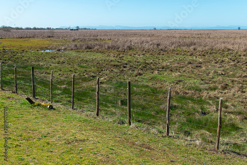 Canvastavla Wire fence with weathered wooden posts running along coastal marshland with dry