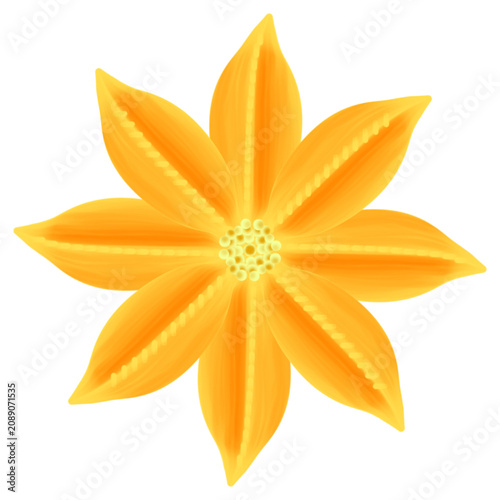Vibrant sunburst blossom circular mandala graphic, symmetrical floral element design for craft