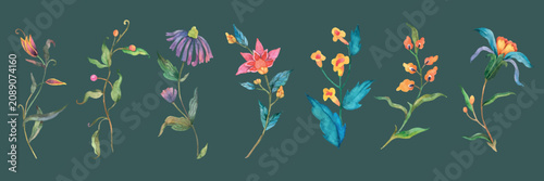 Tableau sur toile Colorful floral vector set with butterflies and delicate botanical stems