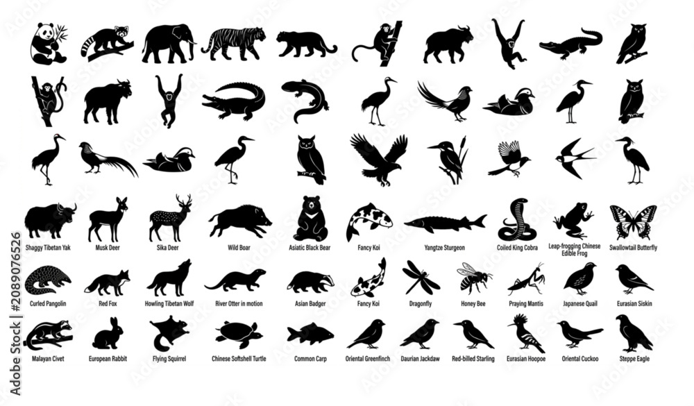 Fototapeta premium Native Chinese Wildlife Black Silhouette Animal Icon Pack Nature Vector Collection